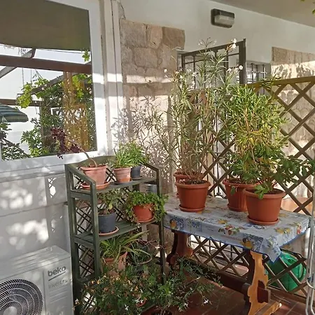 Nido Del Falco Apartment