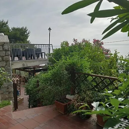 Nido Del Falco